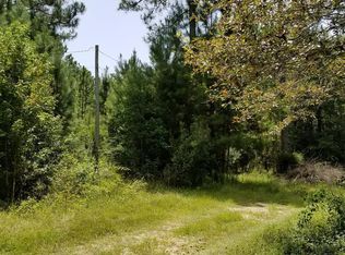 133 & 157 Foxtrail Rd, Picayune, MS 39466