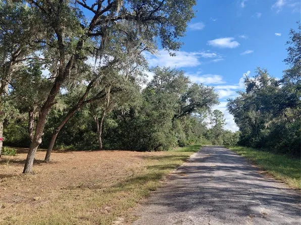 GRINDSTONE DRIVE LOT 16, WEBSTER, FL 33597