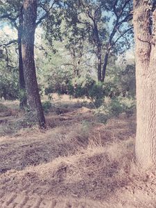 3180 Old Brock Rd, Weatherford, TX, 76087