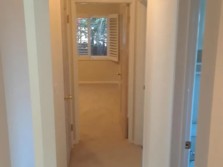 510 Tarento Dr — Photo 39