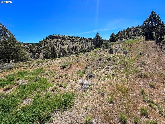 2nd image of Luce Creek Rd