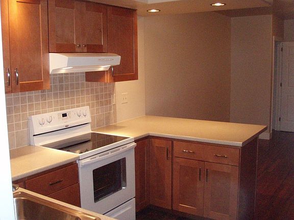 Open Concept Kitchen and Living Room