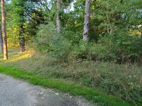 TBD Hedges Run Road, Wellsburg, WV 26070