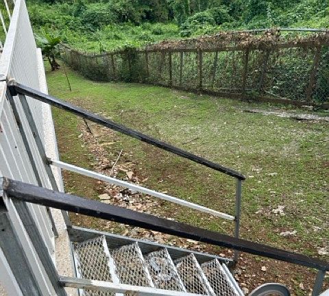 acceso a el patio