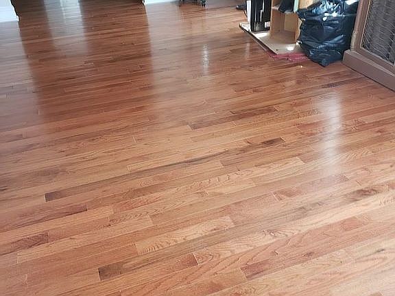 Living Room
New Wood Floor