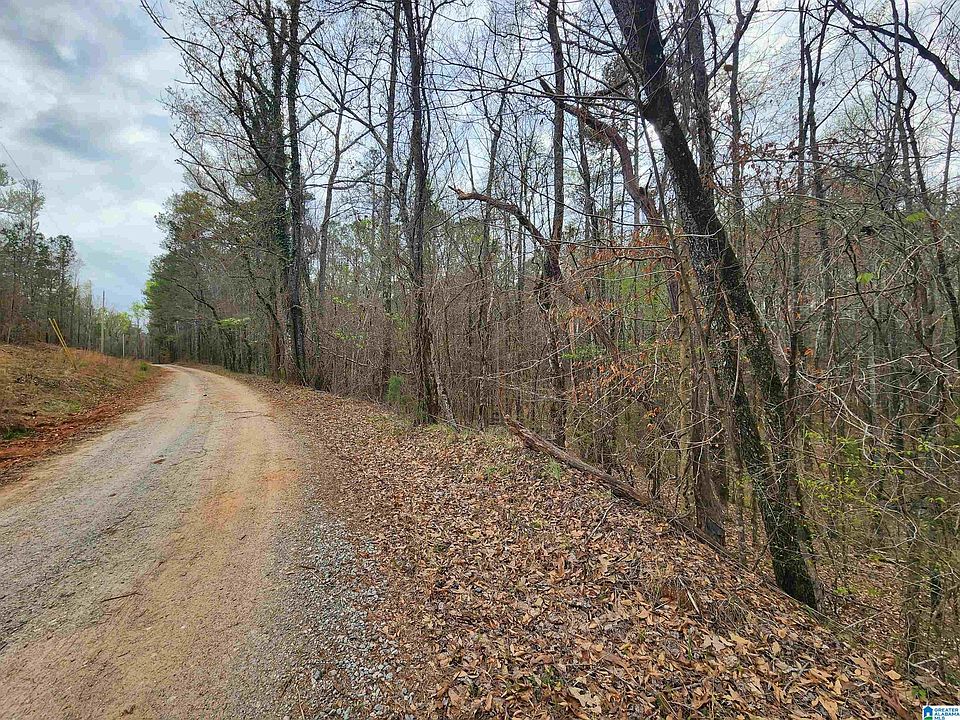 1st image of 0 County Road 141 #1