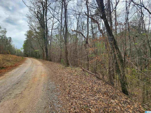 0 County Road 141 #1, Goodwater, AL 35072
