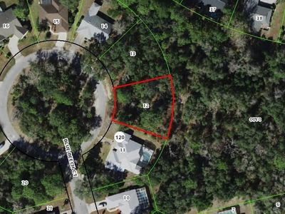 7 Blue Beech Ct, Homosassa, FL, 34446