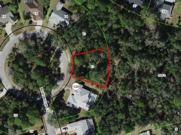 7 Blue Beech Ct, Homosassa, FL 34446