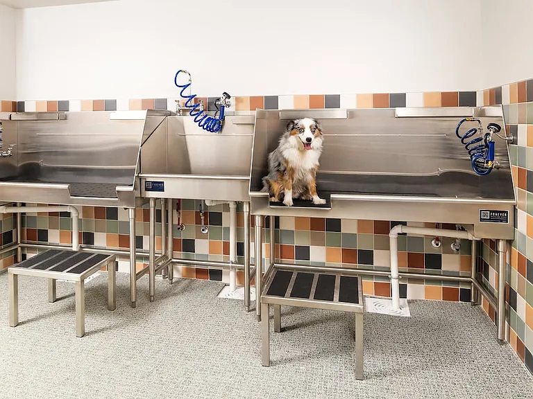 Pet spa