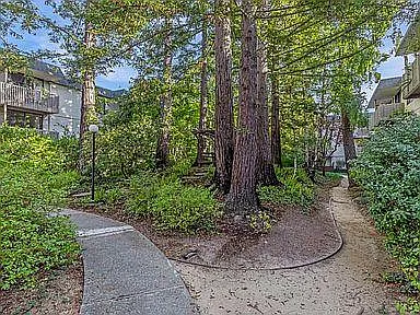 7226 Shelter Creek Ln — Photo 2