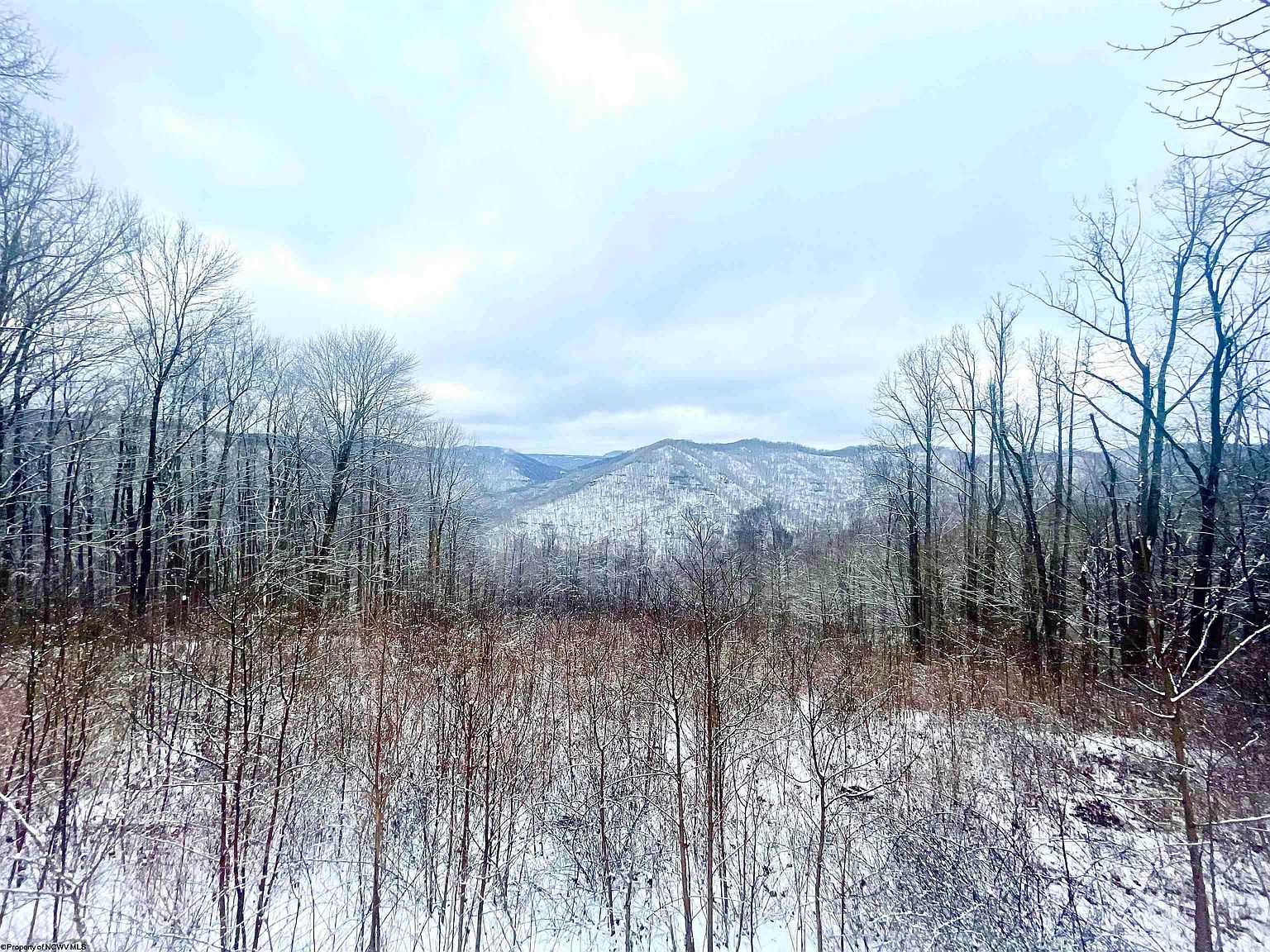 Route 20, ster Springs, WV 26288 MLS 10147534 Zillow