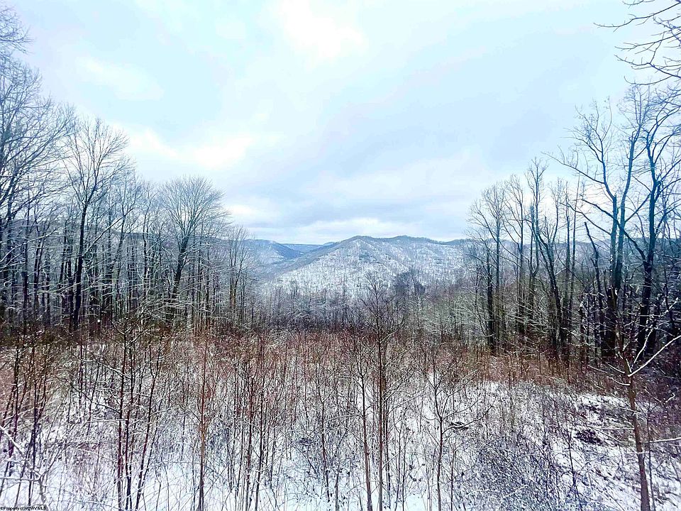 Route 20, ster Springs, WV 26288 MLS 10147534 Zillow