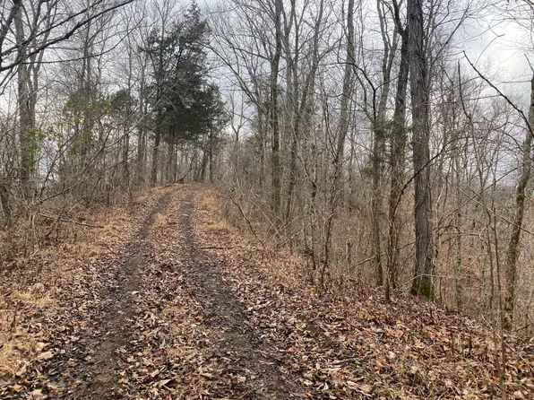 0 Peytonsburg Sulphur Rd, Burkesville, KY 42717