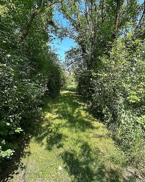 2nd image of N1261 Dalman Rd