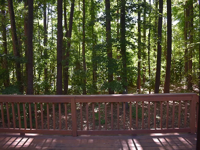 back view from deck