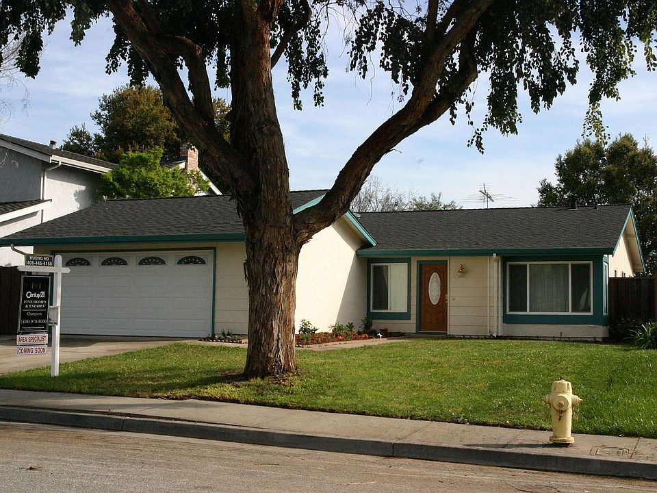 Front View