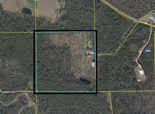 1163 SW Bryan Earnhardt Rd, Madison, FL 32340