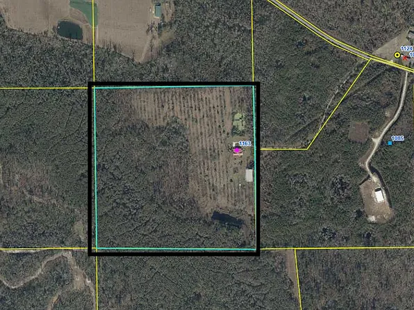 1163 SW Bryan Earnhardt Rd, Madison, FL 32340