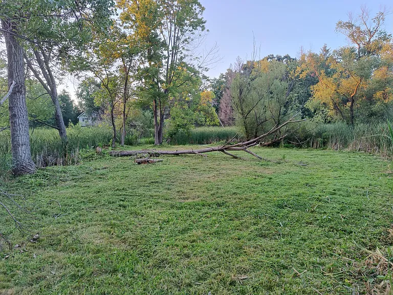 Peninsula / Nature Sanctuary