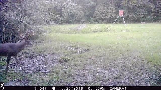 1st image of 737 Creeklake Cove Drive Dr