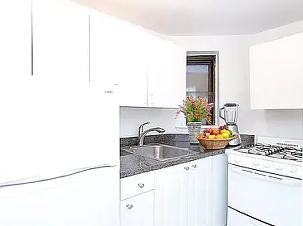 342 East 55th Street 4B image 3 of 5