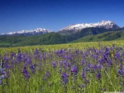 5654 E Elkhorn Dr #69, Eden, UT, 84310