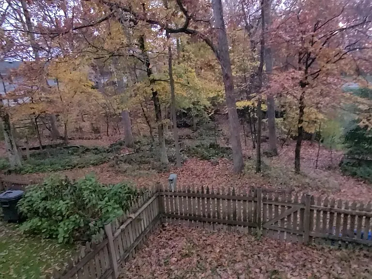 Looking to the left from upper deck. No houses close by. Just gorgeous woods