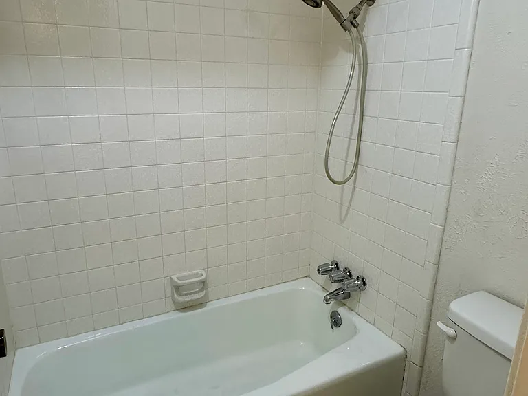 Jack and Jill shower with toilet and a shower