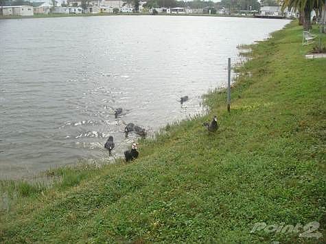 VIEW FROM THE BACK OF THE HOUSE
