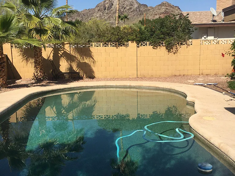 Pool and back yard view