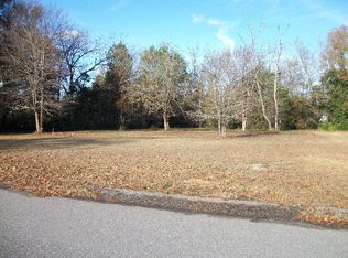 Holmes St, Warrenville, SC 29851