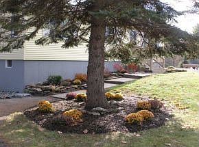 4th image of 36 Berry Rd