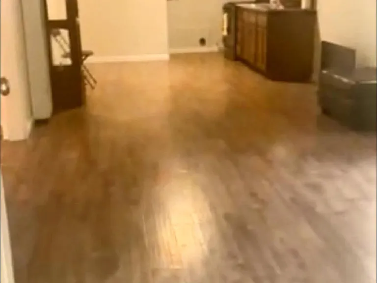 Living room and kitchen
