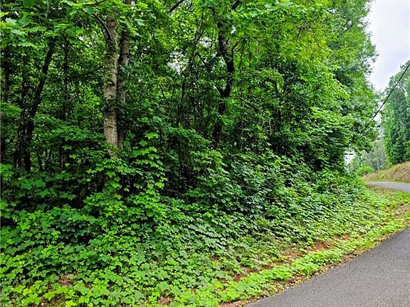5th image of Cowart Mountain Tract Road 1