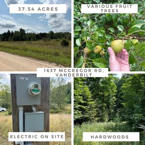 1637 McGregor Rd, Vanderbilt, MI, 49795
