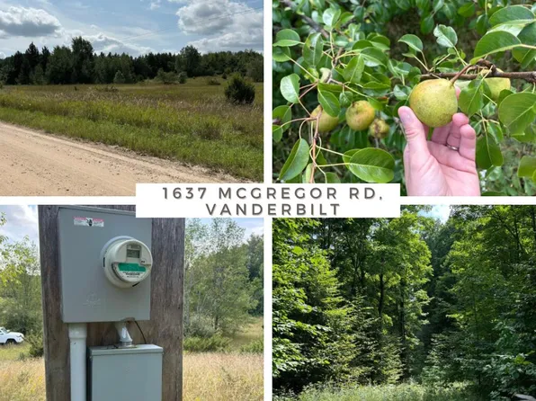 1637 McGregor Rd, Vanderbilt, MI 49795