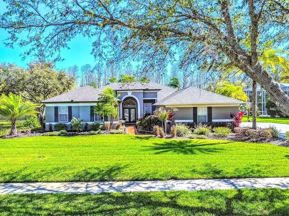 7546 Dunbridge Dr, Odessa, FL 33556