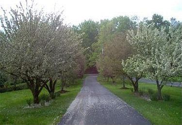 3rd image of 31881 Meadowlark Way