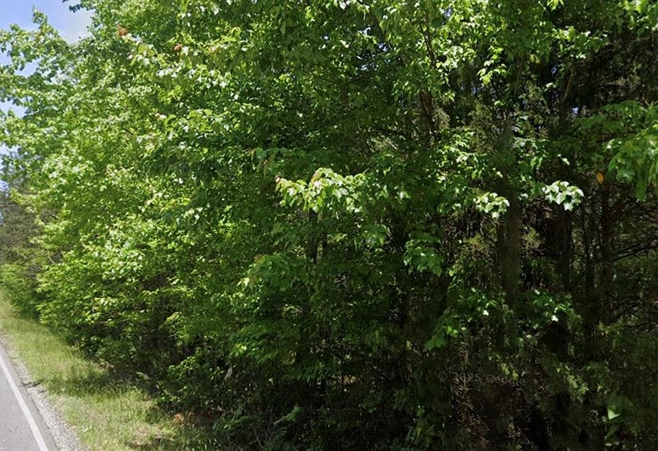 2nd image of 285 Judas Rd