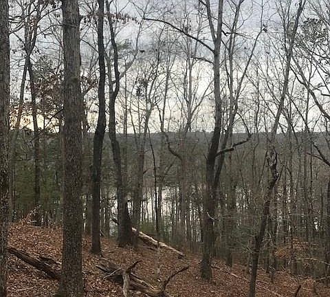 2nd image of 4524 Shoreline Dr