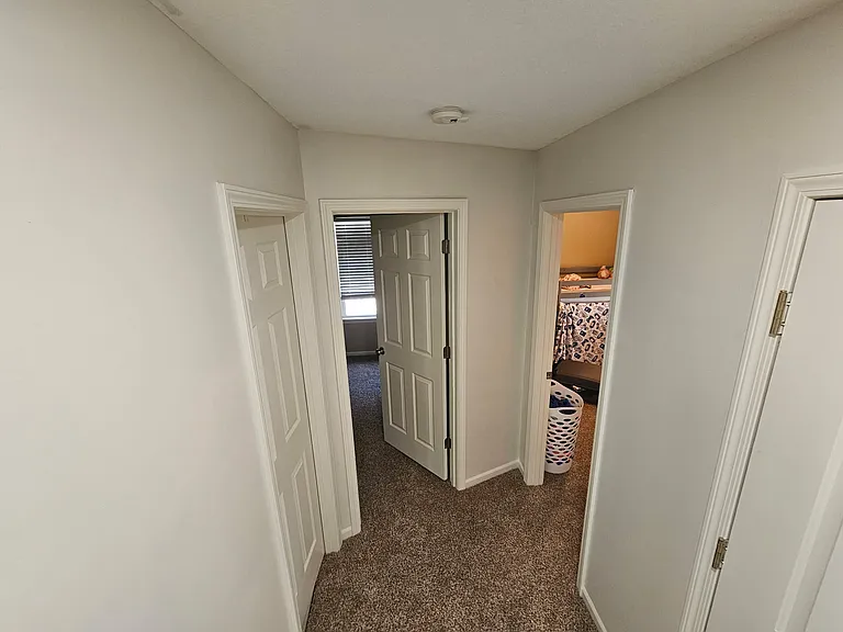1905 Sideview Ln — Photo 5