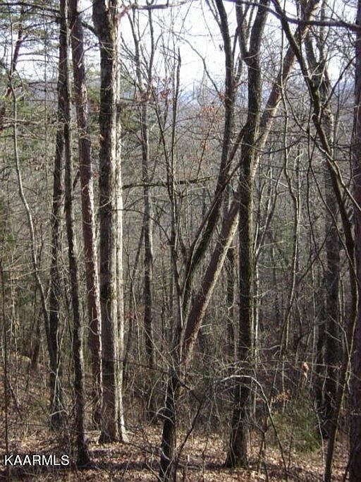 2nd image of Tellico Camp Rd