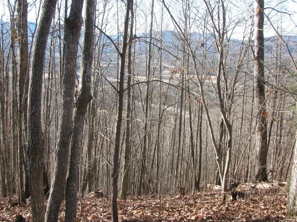 8 Harris Ridge Rd, Young Harris, GA 30582