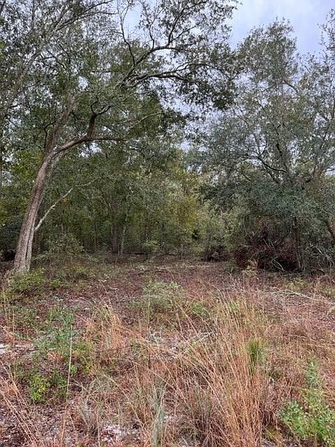 2nd image of 0 Hickory Grove Rd N