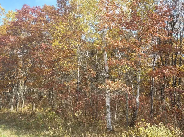 Tbd 32nd Ave SW, Backus, MN 56435