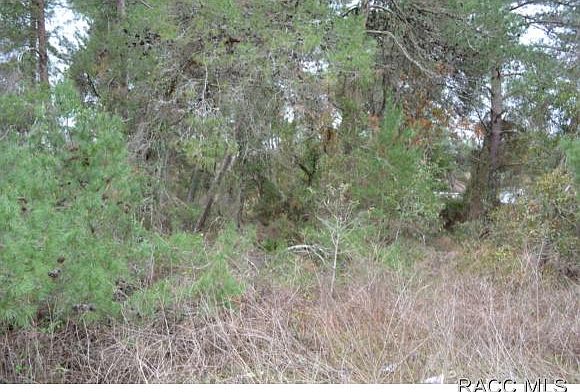 2nd image of 13358 Spring Hill Dr
