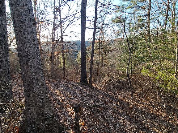 2nd image of 110 Whispering Pines Way