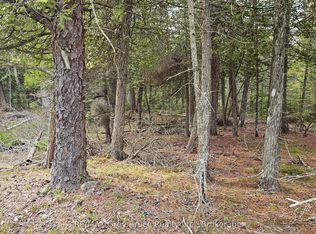 LOT 255 Pedwell Point Dr, Northern Bruce Peninsula, ON N0H2R0
