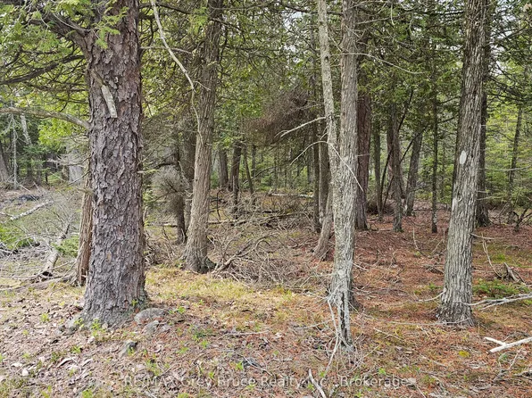 LOT 255 Pedwell Point Dr, Northern Bruce Peninsula, ON N0H 2R0